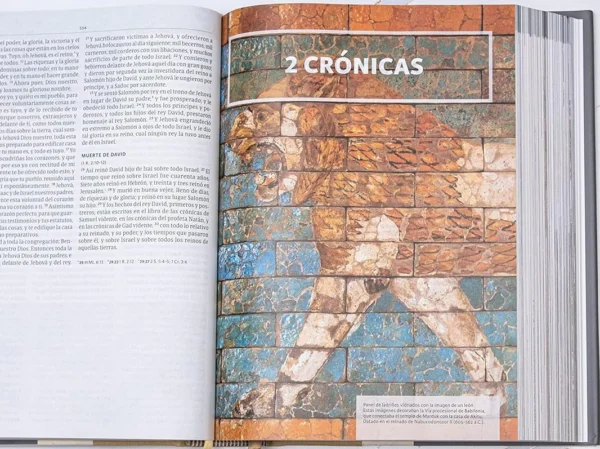Biblia Ilustrada4 Biblia Ilustrada de la Tierra Santa