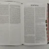 D_NQ_NP_842804-MCO78252932625_082024-O Biblia Ultrafina Holman
